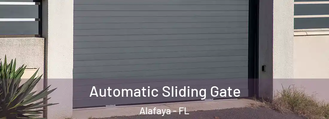 Automatic Sliding Gate Alafaya - FL