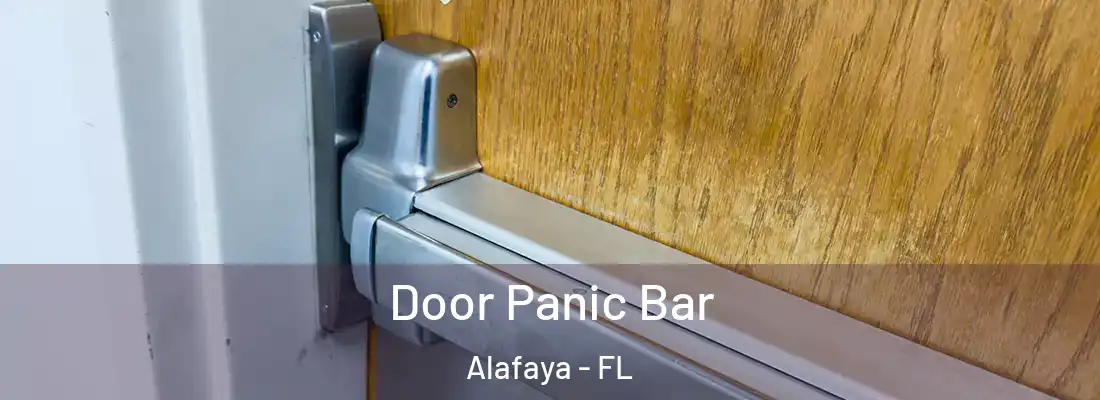 Door Panic Bar Alafaya - FL