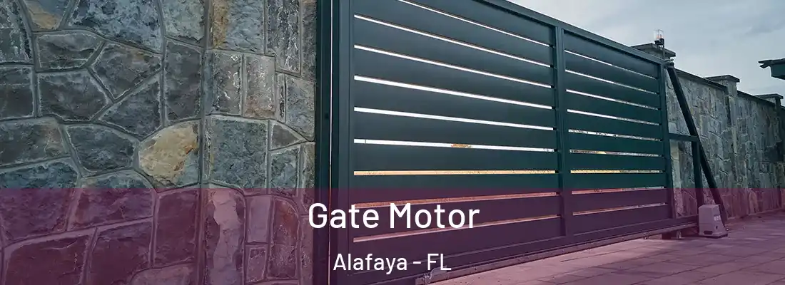 Gate Motor Alafaya - FL