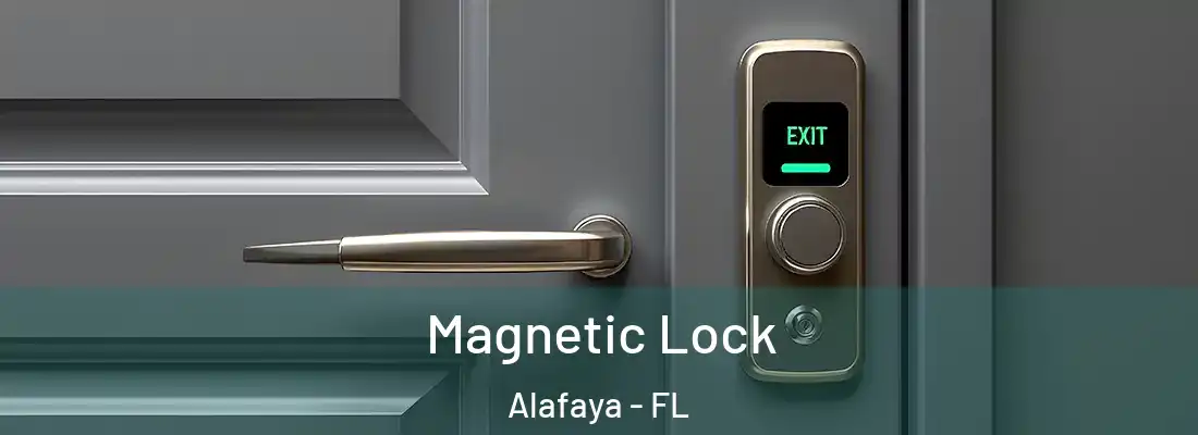 Magnetic Lock Alafaya - FL