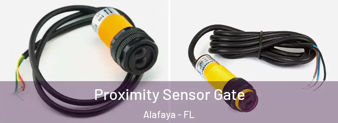 Proximity Sensor Gate Alafaya - FL